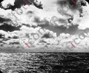 Das Meer und seine Bewohner sw --- The sea and his habitants bw